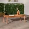 Contemporary Eucalyptus Wood Patio Coffee Table - Natural - Image 4