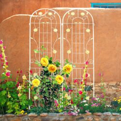 2 Pack Metal Garden Trellis Rustproof Trellis For Climbing Plant Outdoor Flower Support - Cream White