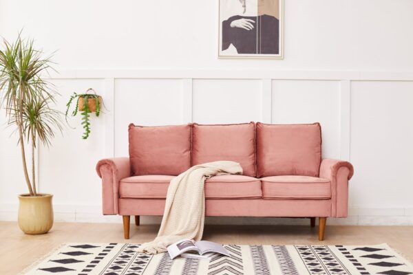 Plush Comfort Sofa - Rose