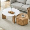 Fashionable Versatile Coffee Table Set - White / Wood - Image 4