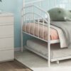 Fox - Twin Daybed With Twin Trundle - White - Image 23