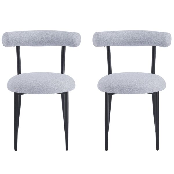 Dining Chair (Set of 2), Modern Dining Room Chairs - Black / Gray