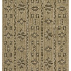 Earth - 5'3" X 7'3" Indoor, Outdoor Area Rug Polypropylene - Jute / Black