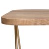 Patrice - Wood Accent Table - Natural / Gold - Image 5