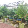 Metal Garden Arch Climbing Plants Support Rose Arch Outdoor - Black - Image 5