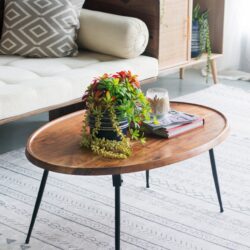 Oval Cofe Table - Brown