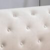 Elegant Contemporary Sofa - Ivory - Image 7