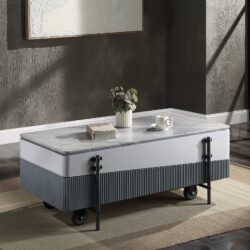 Wilkins - High Gloss Coffee Table With Lift Top - Gray / White