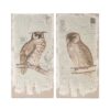 Lilith Owl Prints With Distressed Look, Rectangle Animal Hanging Wall Art (Set of 2) - Multicolor - Image 5
