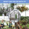 6X6Ft-Black Polycarbonate Greenhouse Raised Base And Anchor Aluminum Heavy Duty Walk-In Greenhouses For Outdoor Backyard In All Season (W540S00002) - Black - Image 7