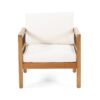 Club Chair With Slat Panel Design - Teak / Beige - Image 4