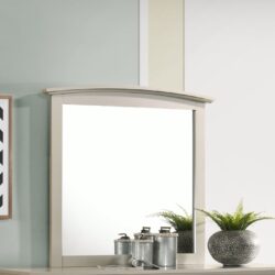 Elegant Wall Mirror - Silver Champagne