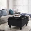Harrison - Small Coffee Table Storage Ottoman - Midnight Black - Image 7