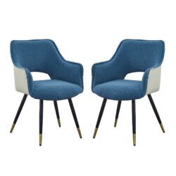 Side Chair, Living Room Bedroom Kitchen Vanity Accent Chair (Set of 2) - Blue