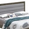 Full Bed Transitional Modern Design - Gray - Image 4