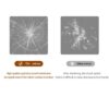 Frameless Full Length Floor Mirror With LED Light, Dimming & 3 Color Modes Mirror - Silver - Image 10