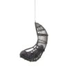 Richards - Outdoor / Indoor Wicker Hanging Chair - Gray - Image 8