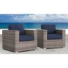 Club Chair (Set of 2) - Brown Gray / Navy Blue - Image 2