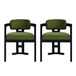 Elegant Upholstered Wood Dining Chair Set With Velvet (Set of 2) - Green / Black