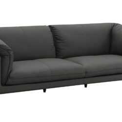 Tadi - Top Grain Leather Loveseat - Black