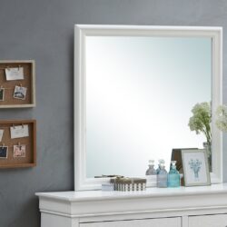 Elegant Transitional Mirror - Silver Champagne