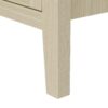 Rattan 2 Door Cabinet, Suitable For Bedroom - Natural - Image 19