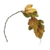 Maple Leaf Spray Green & Mustard, Botanicals Decor For Harvest Festival Fall Festival & Thanksgiving Table Decorations (Set of 12) - Green / Mustard - Image 3