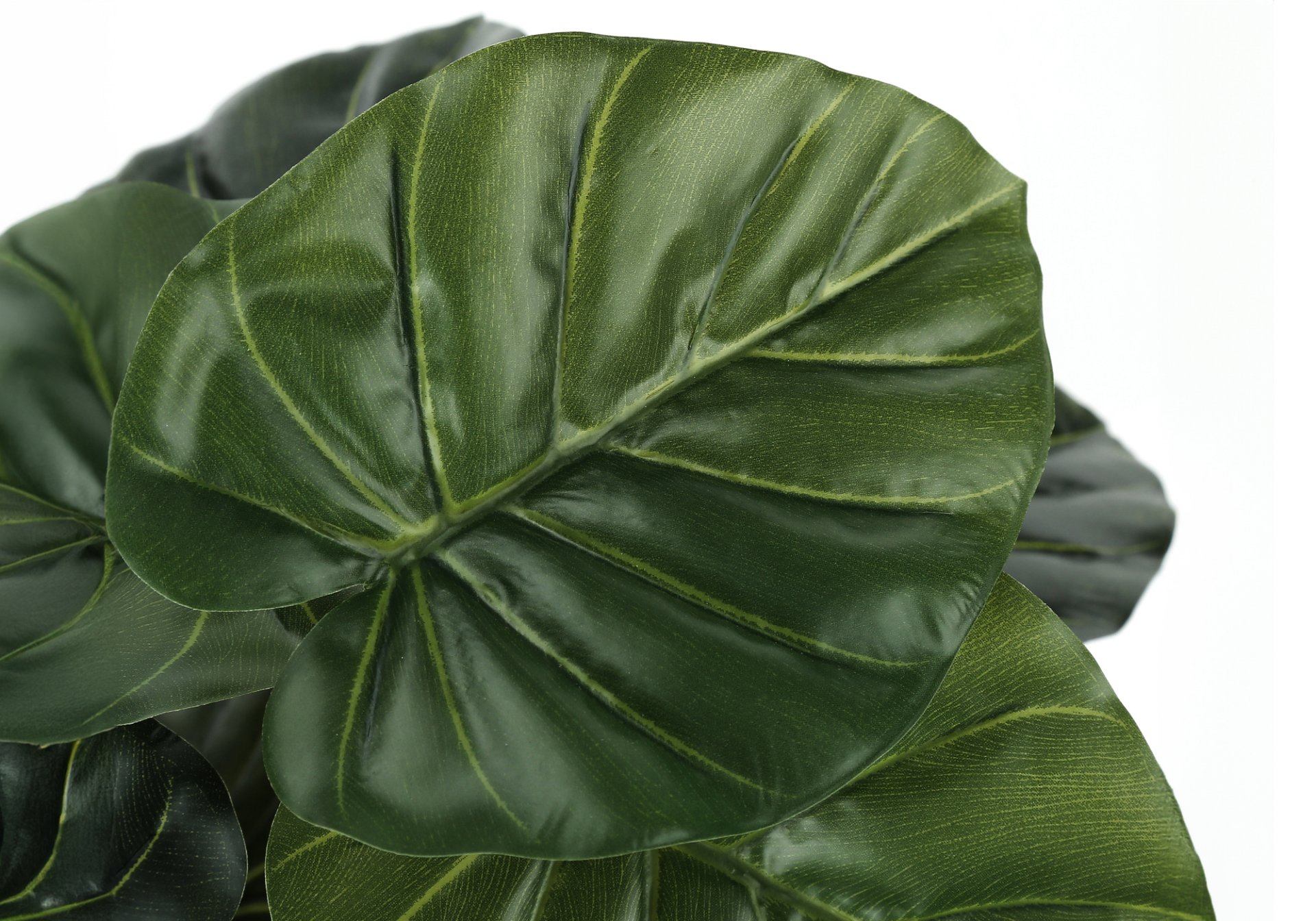 24" Tall, Artificial Plant, Alocasia, Indoor, Faux, Fake, Table, Greenery, Potted, Real Touch, Decorative - Green / Black - Image 4