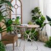 Round Wooden Table With Metal Scrollwork Legs - White Washed - Image 3