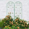 4 Pack Metal Garden Trellis Rustproof Trellis For Climbing Plant Outdoor Flower Support - Green - Image 19