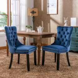 Nikki - Modern, High-End Tufted Solid Wood Contemporary Velvet Upholstered Dining Chair With Wood Legs Nailhead Trim (Set of 2) - Blue