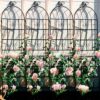 4 Pack Metal Garden Trellis Rustproof Trellis For Climbing Plant Outdoor Flower Support - Black - Image 11