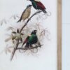 Bird Framed Print (Set of 2) - Multicolor - Image 9