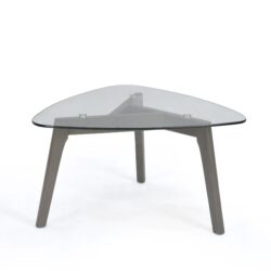 Modern Wooden Coffee Table With Storage Shelf - Gray