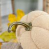 Weighted Pumpkin Ornament Decor For Holiday Harvest Festival Fall Festival & Thanksgiving (Set of 2) - Beige Multi - Image 4