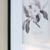 Botanical Wall Art Prints, Home Decor For Living Room Dining Room, Bedroom, Hallway (Set of 4) - White / Black - Image 13