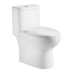 Gloss 1 Piece Toilet With Dual Flush And Rimless Bowl - Gloss White