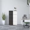 Steelcraft Pro 4 Drawer Metal Vertical File Cabinet With Lock For A4 Legal / Letter Size, Metal - Brushed Nickel - Image 2