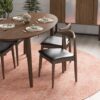 Destiny - Dining Chairs (Set of 2) - Black / Dark Brown - Image 15