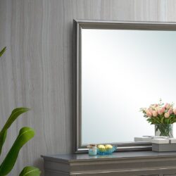 Elegant Transitional Mirror - Metalic Black