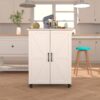 Exquisite Craftsmanship Rice Door Storage Cabinet, Large Capacity - White - Image 2