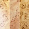 Jesse - Single Drawer Oval Computer Desk - Warm Natural Brown Burl - Image 10