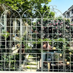 2 Pack Metal Garden Trellis Rustproof For Climbing Plant Outdoor Flower Support - Cream White