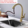 Elegant Single Handle Stainless Steel Pull Out Kitchen Faucet With High Arch Spout - Brushed Gold - Image 8