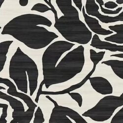 Fenix - Accent Rug - Cream / Dark Gray