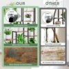 Plant Stand Indoor With Grow Light, 8 Tiered Tall Indoor Plant Shelves For Multiple Plants - Walnut / Black - Image 7