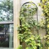 2 Pack Metal Garden Trellis For Climbing Plants Outdoor Rustproof Plant Support Rose Trellis Netting Trellis - Black - Image 5