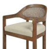 Americana - Mid-Century Modern Cane Back Bar Stool - Taupe Beige - Image 3
