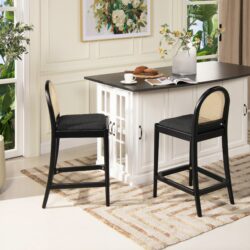 Panama - Curved Back Cane Counter Stool (Set of 2) - Ebony Black