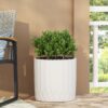 Planter With Subtle Pleated Design - Antique White - Image 4